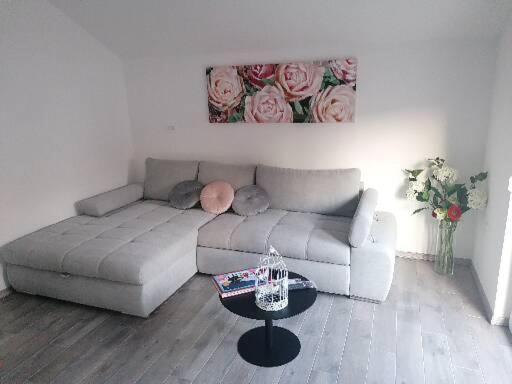Apartmani Vuckovic 보디체 외부 사진